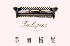 泰麗格妮歐式沙發(fā)品牌設(shè)