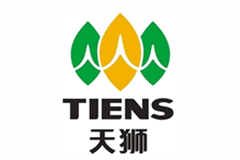 天獅集團——品牌起名