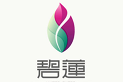 深圳市碧蓮凈化器有限公司