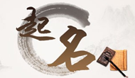 公司起名淺規則