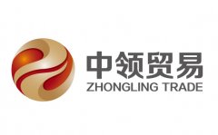 河北省中領貿易有限公司起名案例