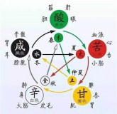 十天干與五臟六腑